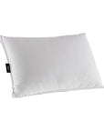 Ortıca Pillow